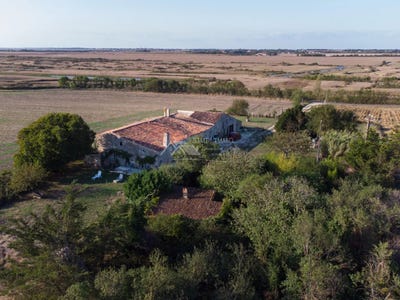 /international/fr/moeze-charente-310101334744/?lang=zh-tw