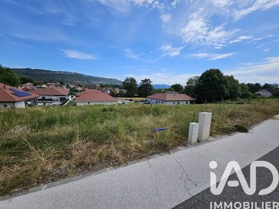 /international/fr/belley-ardennes-310108697887/
