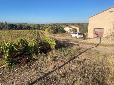 /international/fr/trausse-languedoc-roussillon-310108790976/
