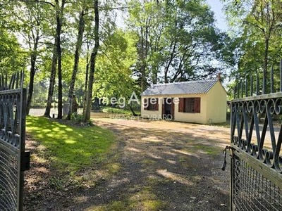 /international/fr/bree-pays-de-la-loire-310108595299/