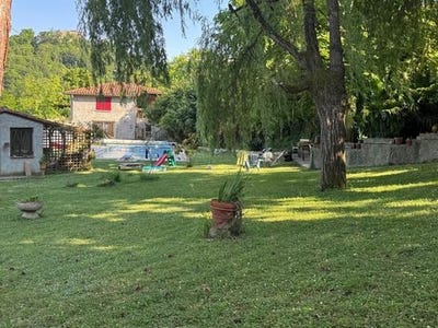 /international/fr/pailhes-midi-pyrenees-310106293382/