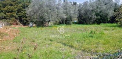 /international/fr/le-cannet-provence-alpes-cote-d-azur-310101445088/?lang=zh-cn