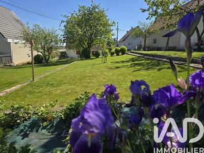 /international/fr/waltenheim-sur-zorn-alsace-310107578227/