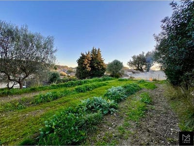 /international/fr/la-seyne-sur-mer-provence-alpes-cote-d-azur-310101496729/