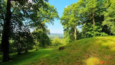 /international/fr/saint-gatien-des-bois-la-basse-normandie-310108422083/