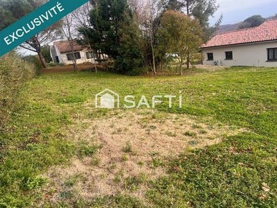 /international/fr/noueilles-midi-pyrenees-310105149639/