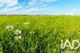 /international/fr/saint-xandre-charente-310104334709/