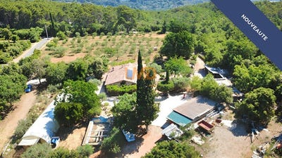 /international/fr/draguignan-provence-alpes-cote-d-azur-310108954733/