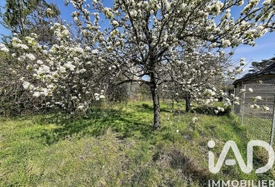 /international/fr/sainte-catherine-de-fierbois-centre-val-de-loire-310108368766/
