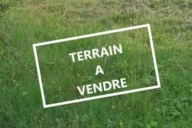 /international/fr/noisy-sur-ecole-ile-de-france-310102489687/