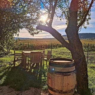 /international/fr/volnay-burgundy-310110302516/
