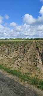 /international/fr/savigny-en-veron-centre-val-de-loire-310107446463/
