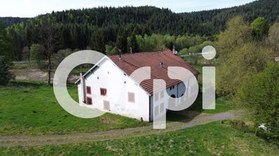 /international/fr/bois-de-champ-lorraine-310110291178/