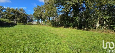 /international/fr/allaire-brittany-310100645122/