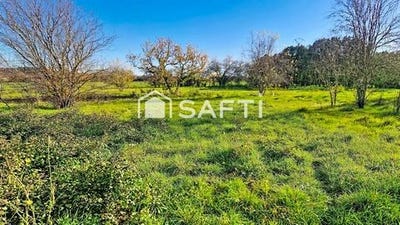/international/fr/roquettes-midi-pyrenees-310104802451/