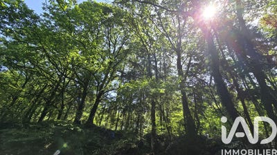 /international/fr/vieux-vy-sur-couesnon-brittany-310108401453/