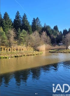 /international/fr/hattigny-lorraine-310104943683/