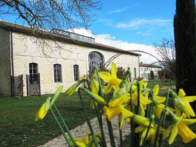 /international/fr/mortagne-sur-gironde-charente-310105212119/