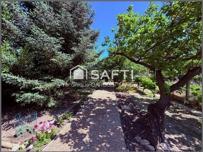 /international/fr/lezignan-corbieres-languedoc-roussillon-310108488337/