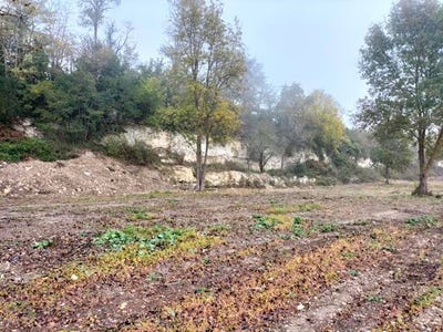 /international/fr/lectoure-midi-pyrenees-310101133231/