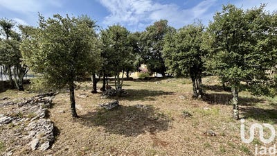 /international/fr/saint-etienne-de-fontbellon-rhone-310101280589/