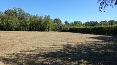 /international/fr/saint-maximin-la-sainte-baume-provence-alpes-cote-d-azur-310106020746/