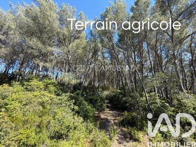 /international/fr/la-cadiere-d-azur-provence-alpes-cote-d-azur-310108133377/