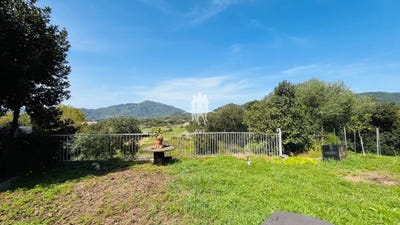 /international/fr/ajaccio-corsica-120091374674/