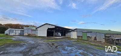 /international/fr/les-brouzils-pays-de-la-loire-310104143191/