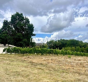 /international/fr/libourne-aquitaine-310107189973/