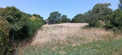 /international/fr/flaugeac-aquitaine-310100611641/
