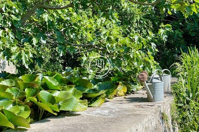 /international/fr/uzes-languedoc-roussillon-310100906444/?lang=zh-cn