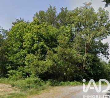 /international/fr/sereilhac-limousin-310106708134/