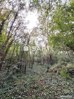 /international/fr/jaunay-marigny-charente-310106778918/