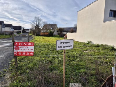 /international/fr/angers-pays-de-la-loire-310099620045/