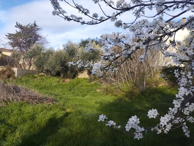 /international/fr/arles-provence-alpes-cote-d-azur-310108246073/