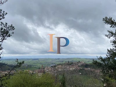/international/fr/thizy-les-bourgs-rhone-310101085324/?lang=en