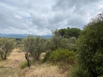 /international/fr/gonfaron-provence-alpes-cote-d-azur-310106199185/
