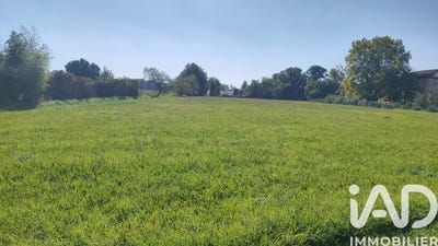 /international/fr/loupiac-auvergne-310103609377/