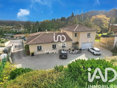 /international/fr/villieu-loyes-mollon-rhone-310104145076/