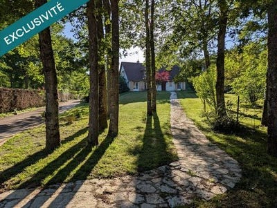 /international/fr/saint-eloy-de-gy-centre-val-de-loire-310108289777/