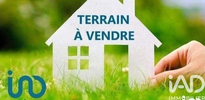/international/fr/elne-calais-310105538964/