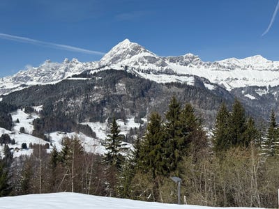 /international/fr/cohennoz-rhone-310108923431/