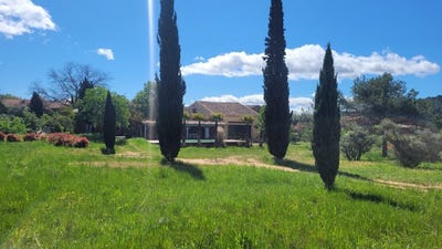 /international/fr/saint-chinian-languedoc-roussillon-310107415225/