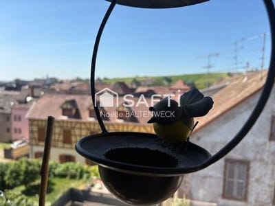 /international/fr/ribeauville-alsace-310108954902/