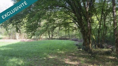 /international/fr/les-eyzies-de-tayac-sireuil-aquitaine-310107621368/