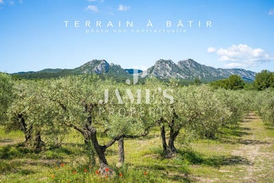 /international/fr/fontvieille-provence-alpes-cote-d-azur-310106068026/