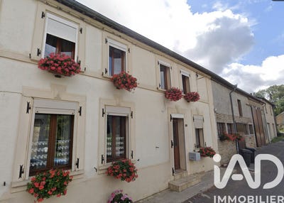 /international/fr/girondelle-ardennes-310109221691/
