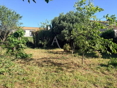 /international/fr/sete-languedoc-roussillon-310108831126/