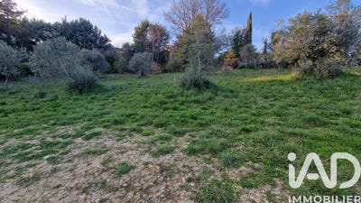 /international/fr/valensole-provence-alpes-cote-d-azur-310106593657/